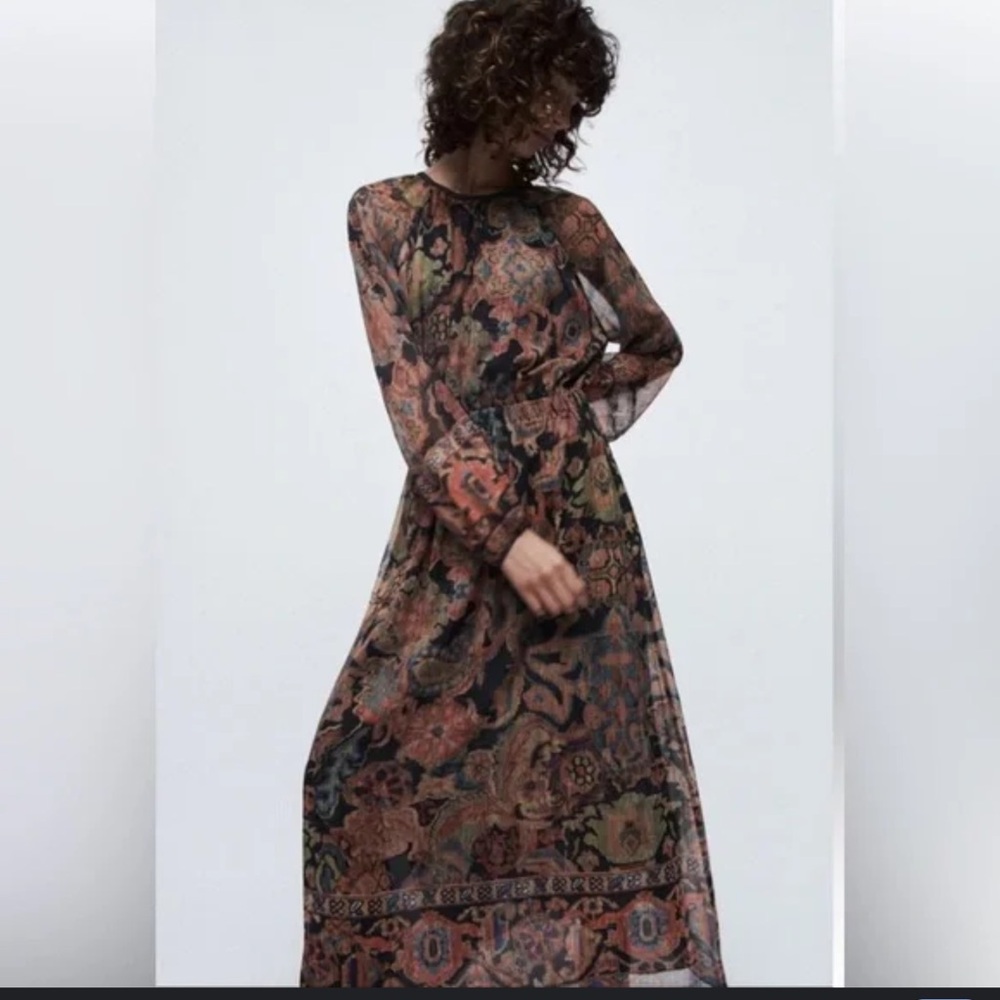 Zara Multicolor Paisley Midi Dress